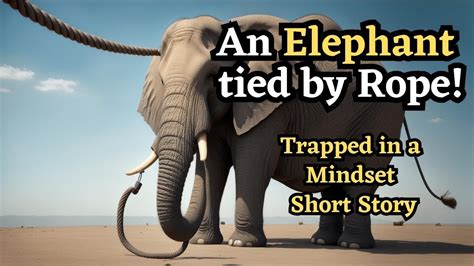 elephant tied with rope|The Elephant Rope. A short story with morals. .